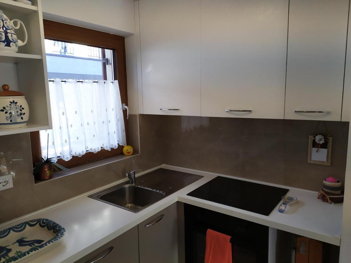 Apartament Il Riccio Del Castagno Novaledo Zewnętrze zdjęcie