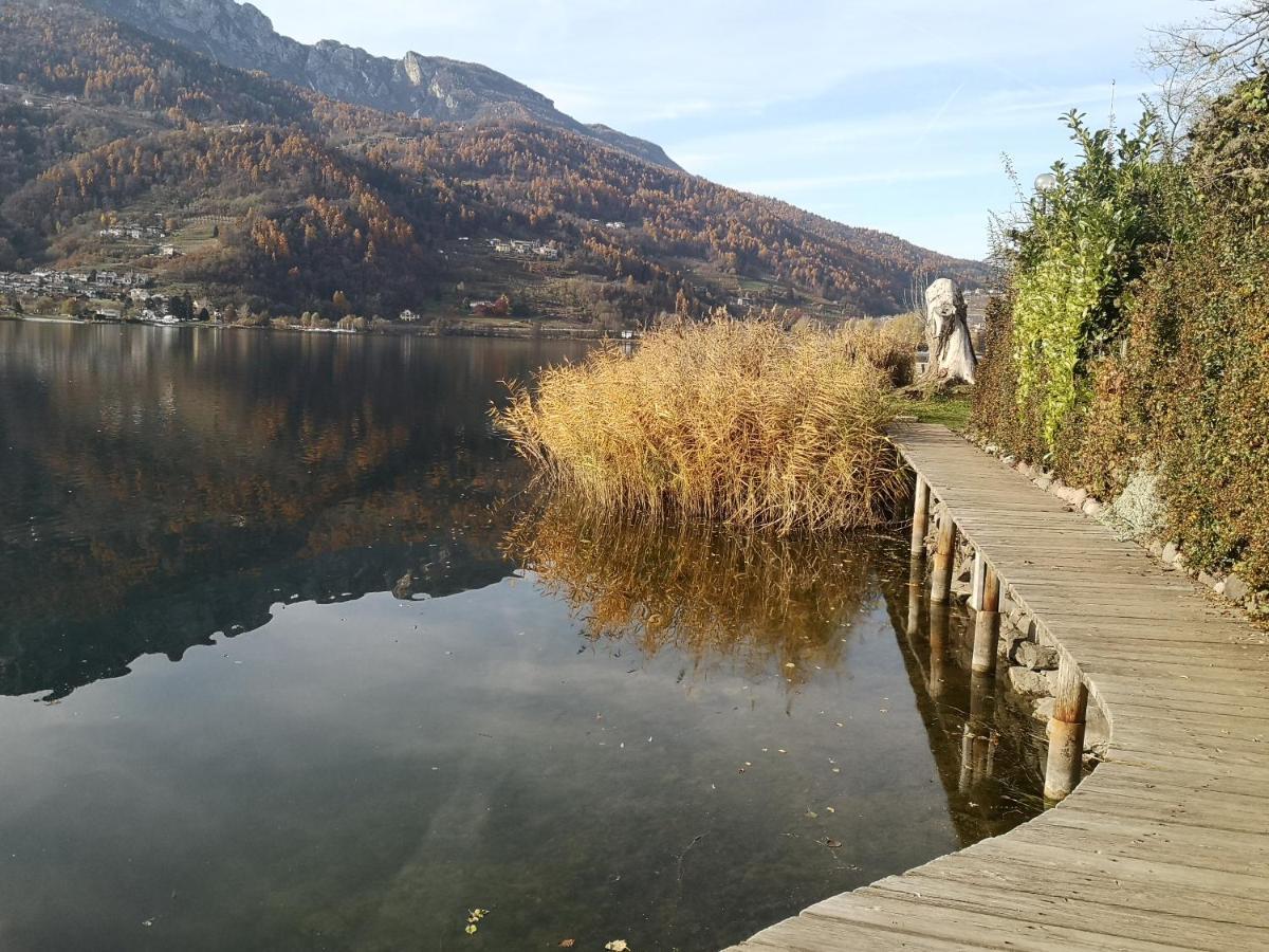 Apartament Il Riccio Del Castagno Novaledo Zewnętrze zdjęcie