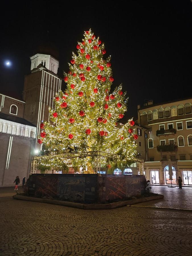 Apartament Il Riccio Del Castagno Novaledo Zewnętrze zdjęcie