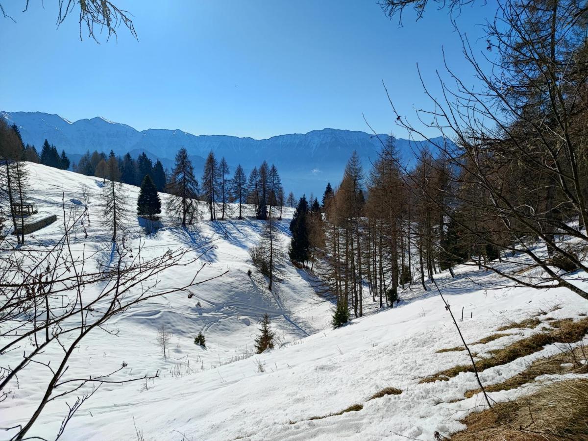 Apartament Il Riccio Del Castagno Novaledo Zewnętrze zdjęcie