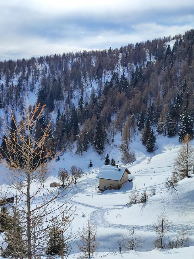Apartament Il Riccio Del Castagno Novaledo Zewnętrze zdjęcie