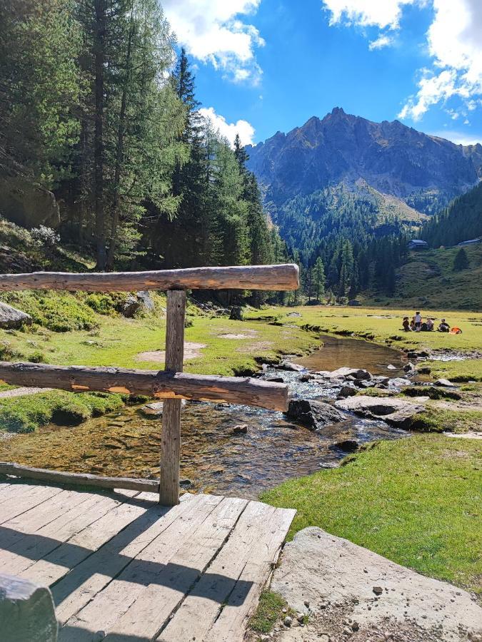 Apartament Il Riccio Del Castagno Novaledo Zewnętrze zdjęcie
