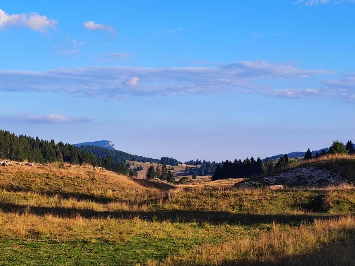 Apartament Il Riccio Del Castagno Novaledo Zewnętrze zdjęcie