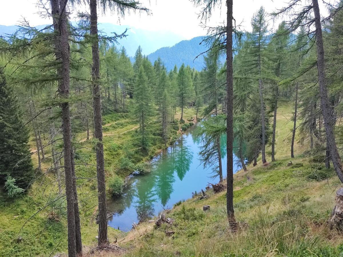 Apartament Il Riccio Del Castagno Novaledo Zewnętrze zdjęcie