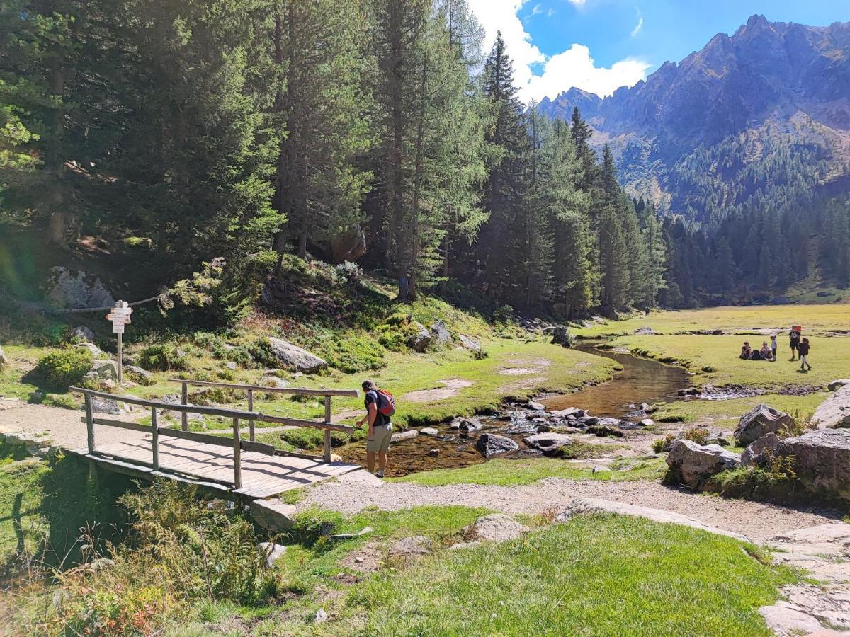 Apartament Il Riccio Del Castagno Novaledo Zewnętrze zdjęcie